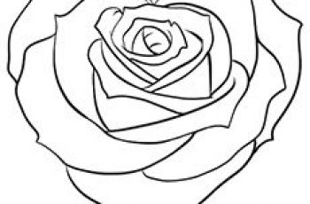 Color A Smile : Volunteer to Color : 46+ Printable Rose Coloring Pages Color-In Pages (Seasonal)
