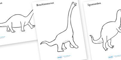 Twinkl Resources >> Dinosaurs Colouring Sheets >> Classroom printables for Pre-S…