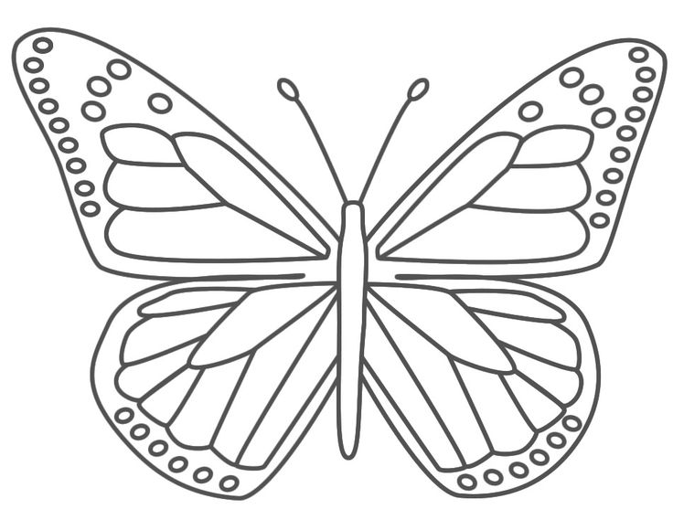 a colerting picer of a buterfly | butterfly coloring pages for kids to print But…