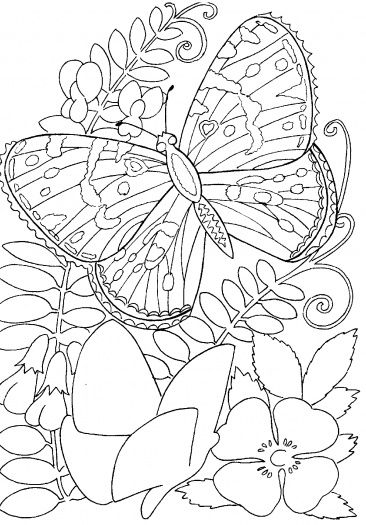 butterfly-among-flowers-coloring-page.gif 366×525 пиксел.