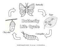 butterfly coloring pages. Good extra for our butterfly unit