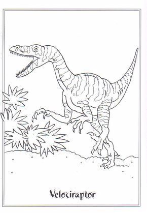 coloring-page-Dinosaurs-2-–-Velociraptor-dinosaurs-coloring-pages coloring page Dinosaurs 2 – Velociraptor   #dinosaurs #coloring #pages