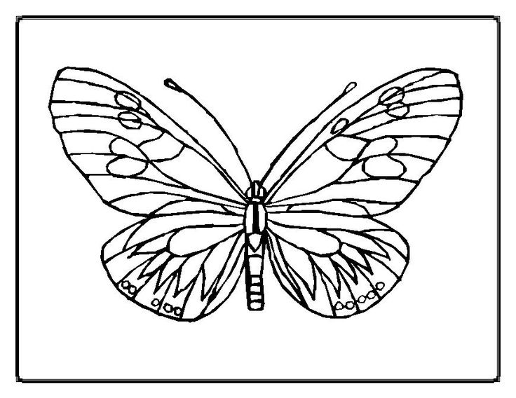 eric carle butterfly coloring page : Printable Coloring Sheet