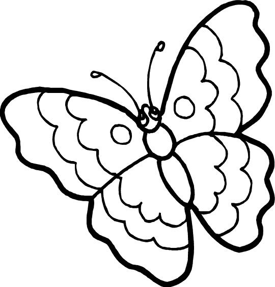 spring-birds-and-flowers-coloring-pages-Butterfly-coloring-design spring birds and flowers coloring pages | Butterfly coloring design for glass pa...