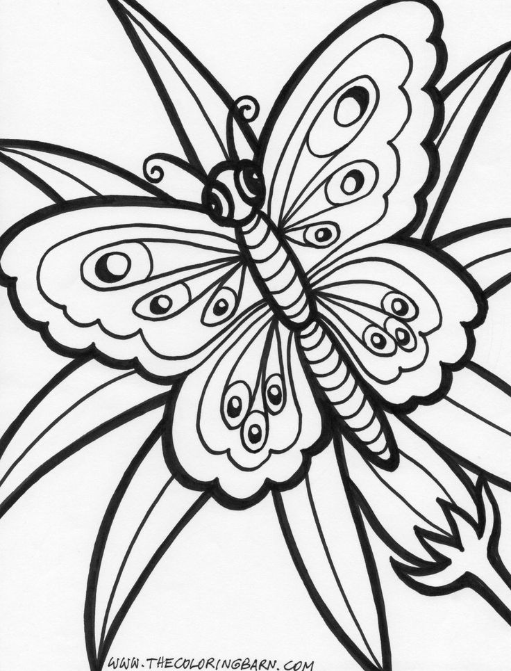 summer flowers printable coloring pages – Free Large Images