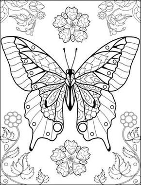 world of butterflies coloring page