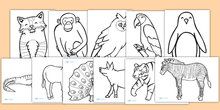 Farm-Animal-Colouring-Sheets-Black-White-A4-education Farm Animal Colouring Sheets (Black & White, A4) - education