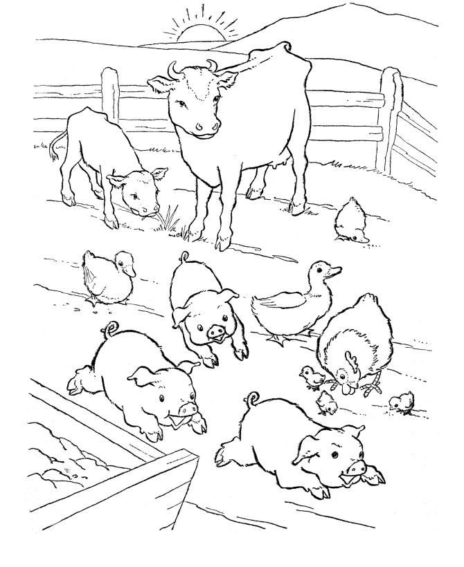 Farm-animal-coloring-page-Barn-yard-Pigs Farm animal coloring page | Barn-yard Pigs