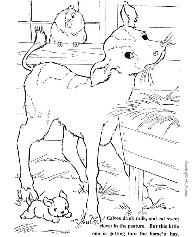 Image detail for -Pin Animal Coloring Pages Zebra on Pinterest Wallpaper