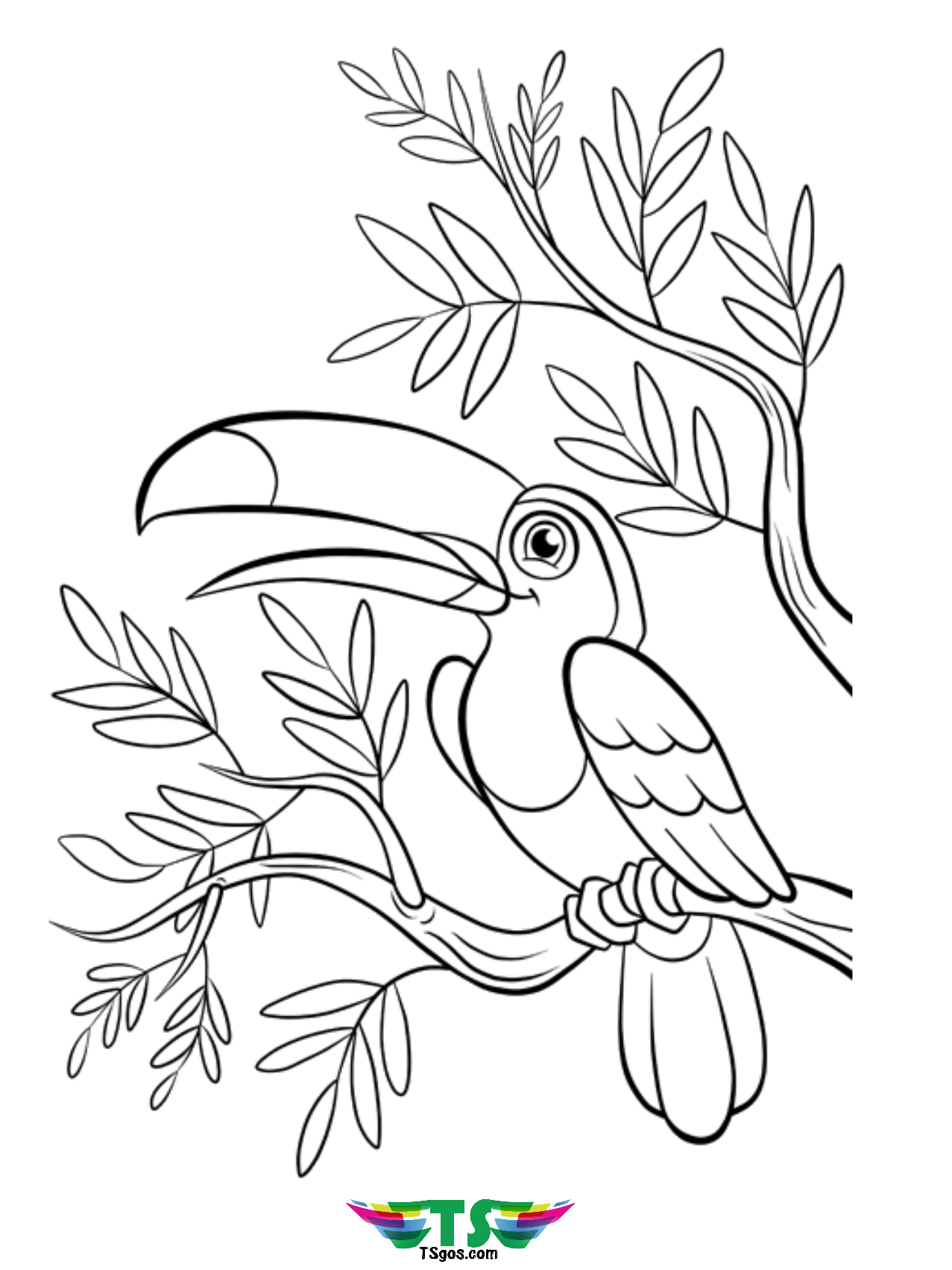 Beautiful Bird Coloring Page Free Download TSgos TSgos