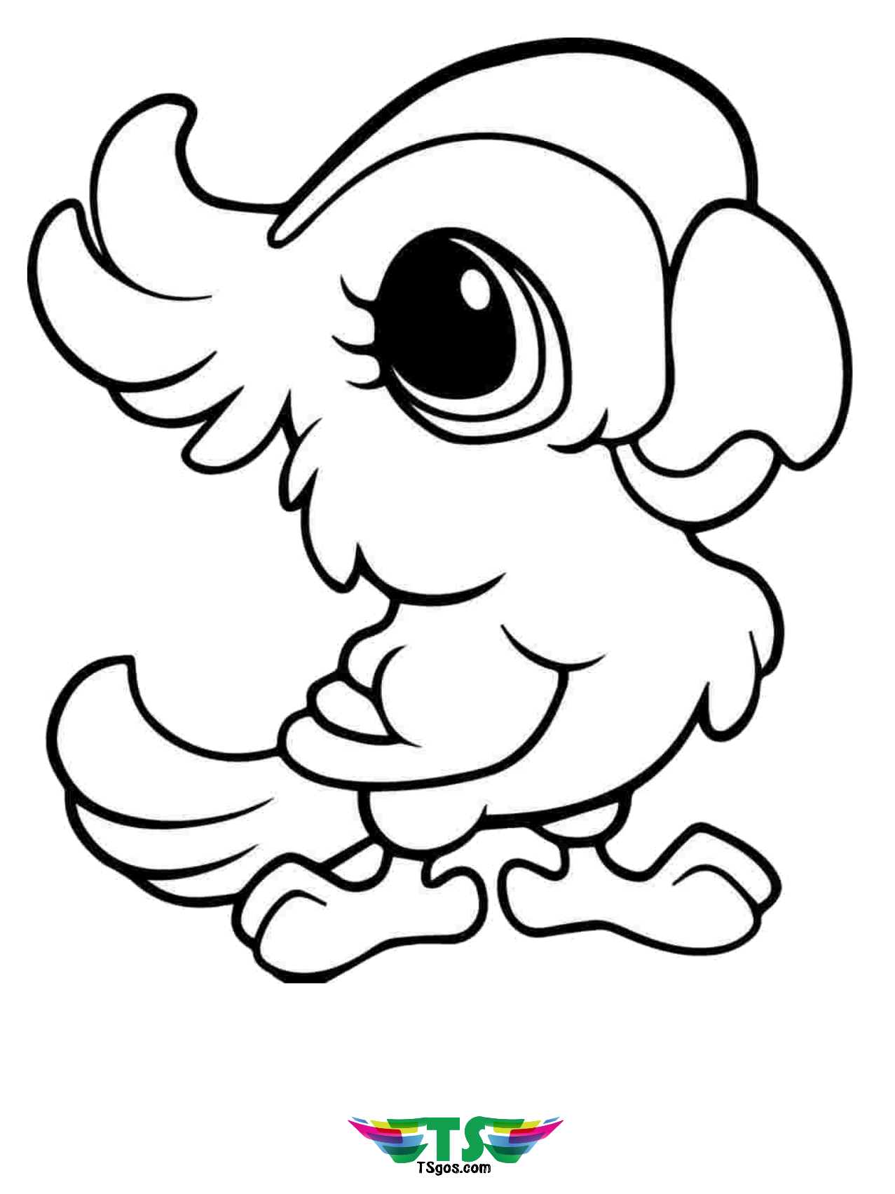 Free Printable Coloring Pages Birds