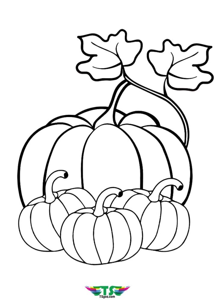 Pumpkin Coloring Page Ideas For Halloween - TSgos.com