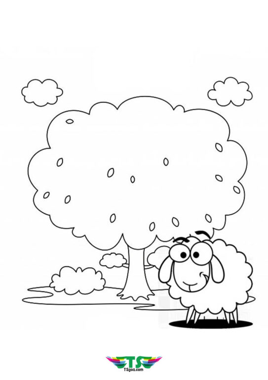 Best Animal Sheep Coloring Page