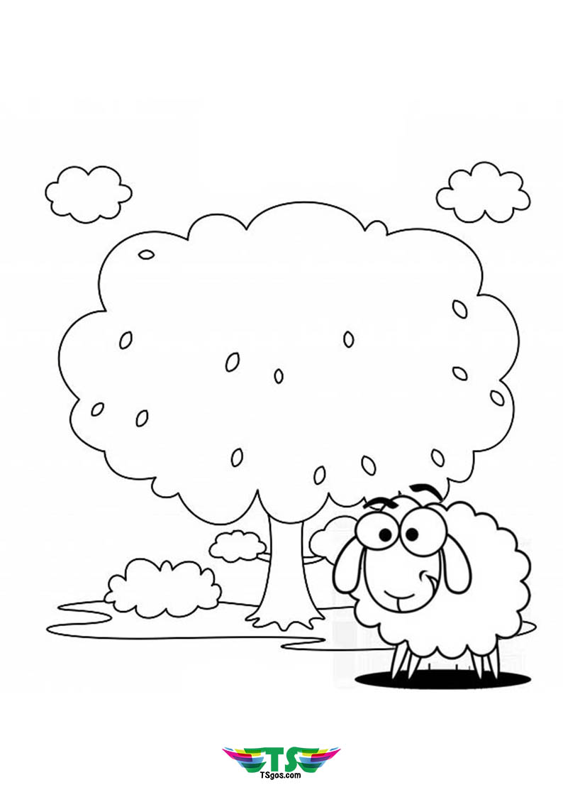 Best Animal Sheep Coloring Page Wallpaper