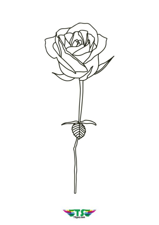 Easy Rose Flower Coloring Page For Kids
