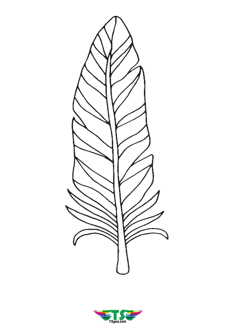 Printable Turkey Feather Coloring Page For Kids