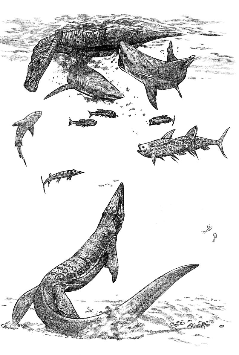 62 Mosasaurus Jurassic World Coloring Pages 52