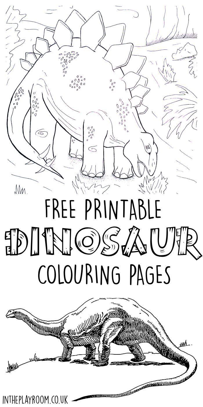 Dinosaur Colouring Pages for Kids