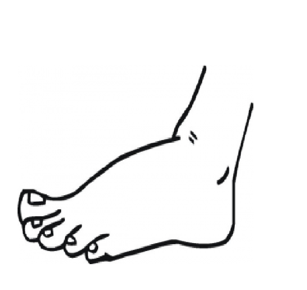 Foot Coloring Page Sketch Coloring Page