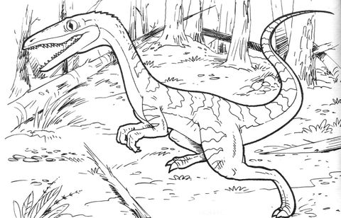 Coelophysis Bauri Dinosaur coloring page | Free Printable Coloring Pages