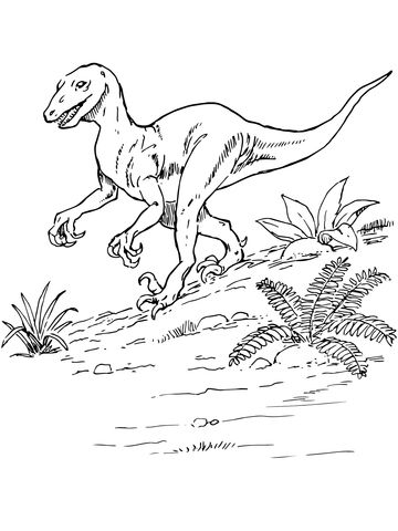 Deinonychus Dinosaur coloring page | Free Printable Coloring Pages