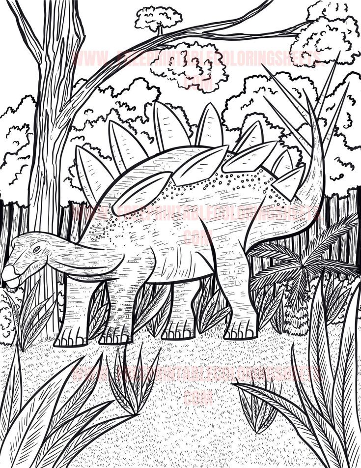 Free coloring sheet of Stegosaurus| Free printable dinosaur coloring page for kids and adults