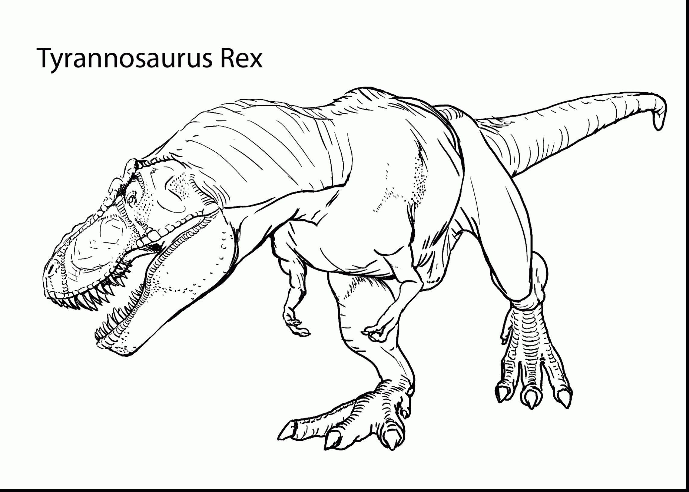 Jurassic Park T Rex Coloring Page | BubaKids.com