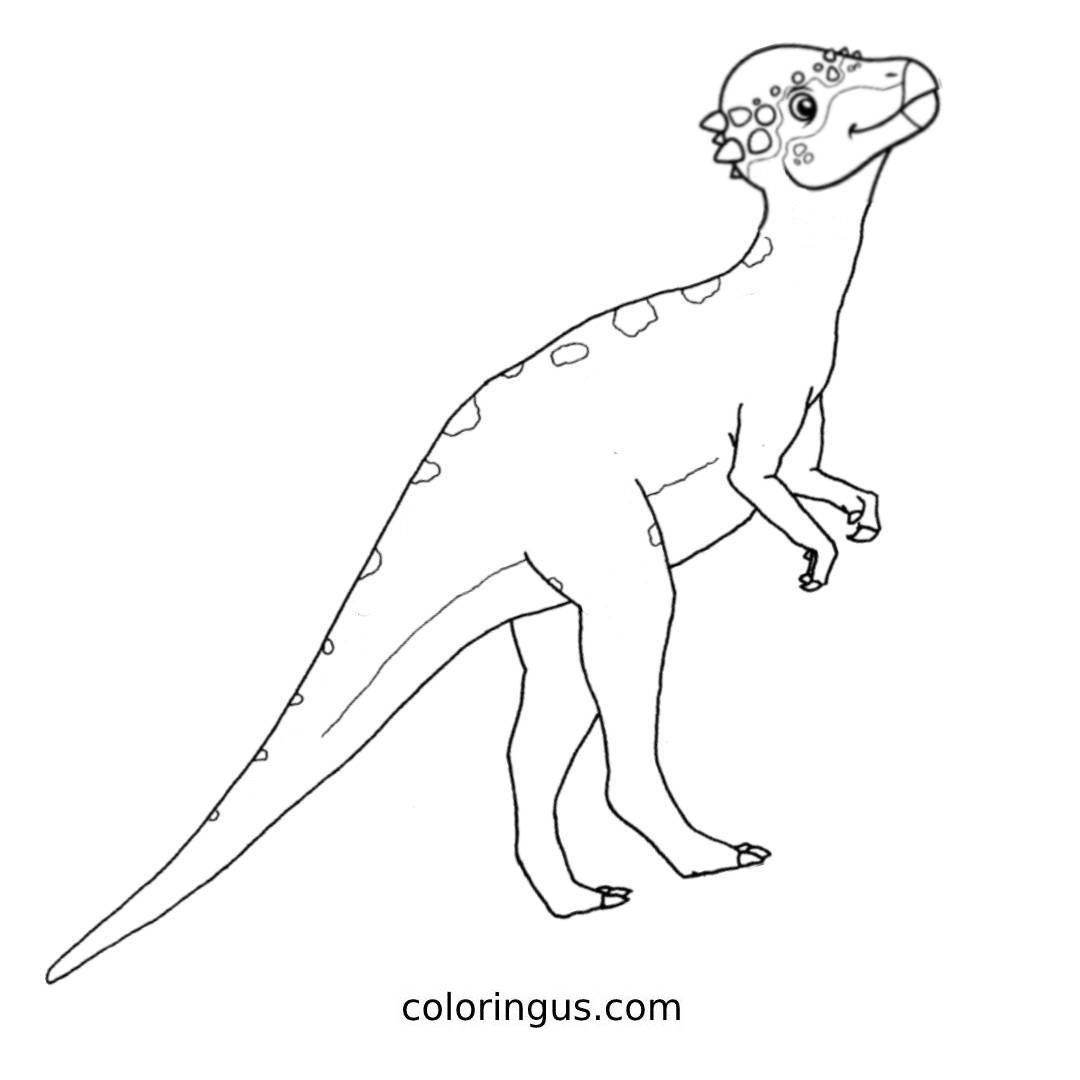 Pachycephalosaurus Coloring Page : Print
