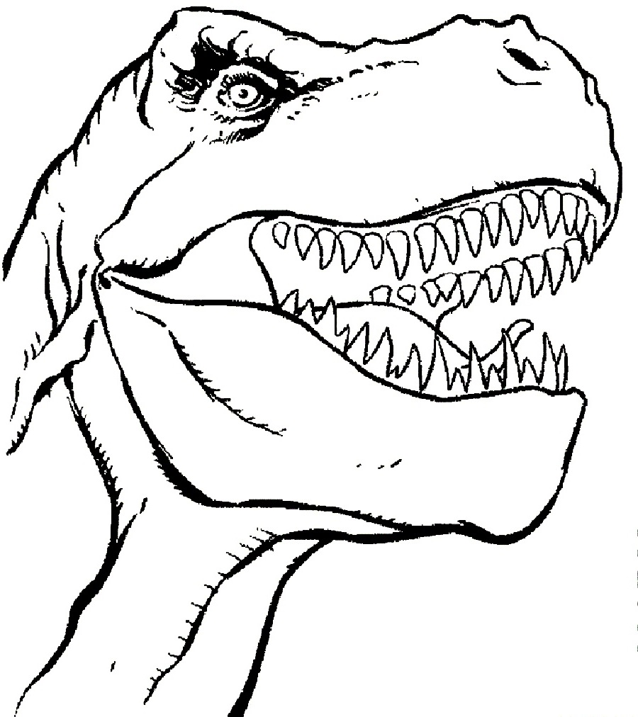 Tyrannosaurus Rex Coloring Page | Educative Printable