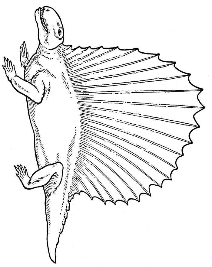 Dinosaur Coloring Pages coloring 948