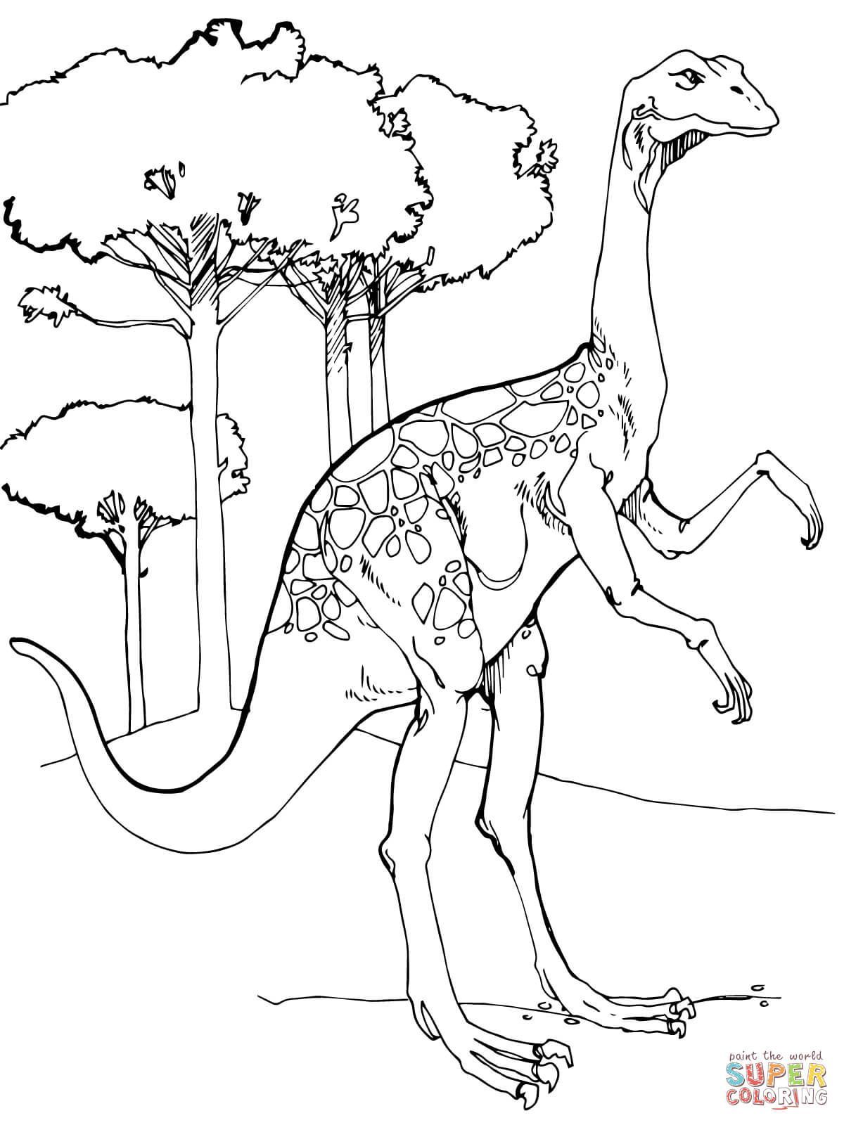 Gallimimus Dinosaur Coloring Pages