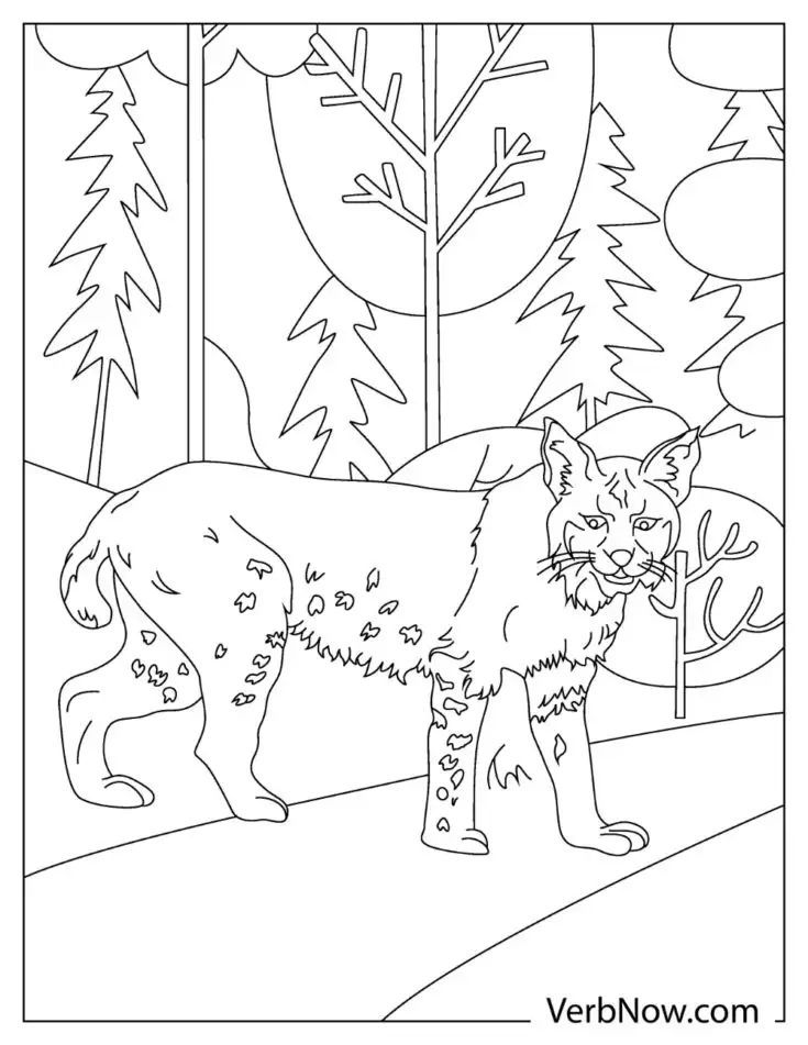 Dinosaur Coloring Pages - Adult Bobcat in the forest