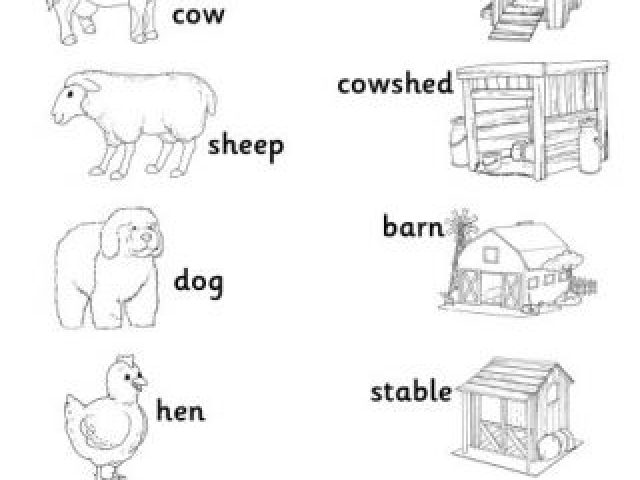 Animals house перевод. Животные на английском задания. Животные на английском для дошкольников. Животные задания для дошкольников на английский. Животные фермы задания для детей.